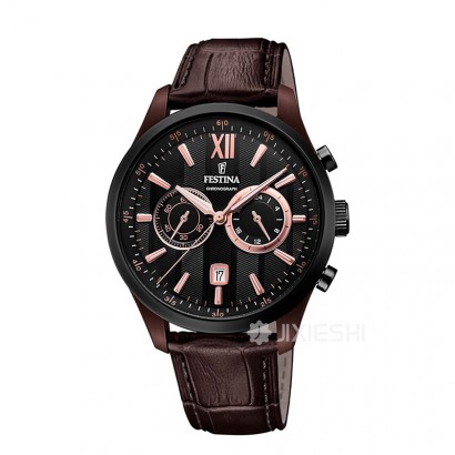 FESTINA ʿʿʿֱF16999/2 Ȿԭ