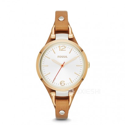 FOSSIL FOSSILŮʿʯӢES3565 Ȿԭ