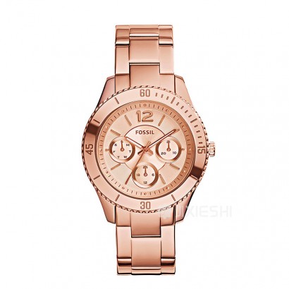 FOSSIL FOSSILŮʿֱES3815 Ȿԭ