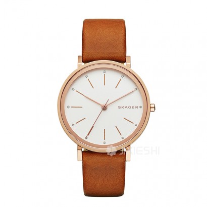 SKAGEN DENMARK ʫʯӢŮʿֱSKW2488 Ȿԭ