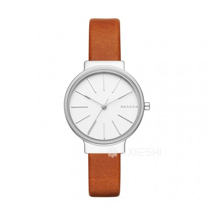 SKAGEN DENMARK ʫʯӢŮʿֱSKW2479 Ȿԭ