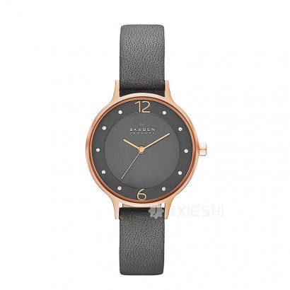 SKAGEN DENMARK ʫʯӢŮʿֱSKW2267 ...