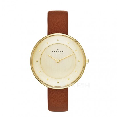 SKAGEN DENMARK ʫʯӢŮʿֱSKW2138 ...