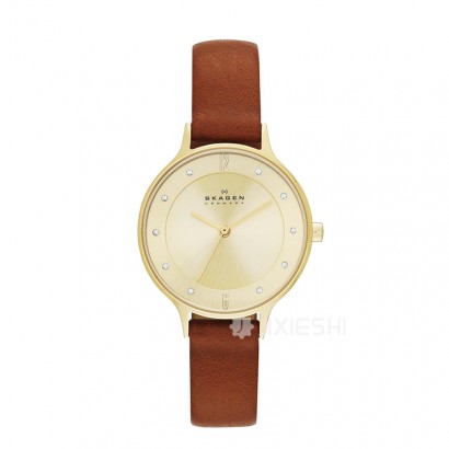 SKAGEN DENMARK ʫʯӢŮʿֱSKW2147 ...