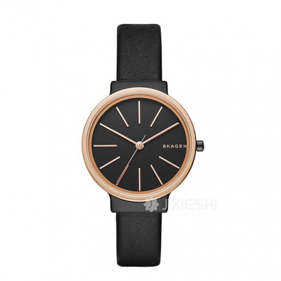 SKAGEN DENMARK ʫʯӢŮʿֱSKW2480 ...