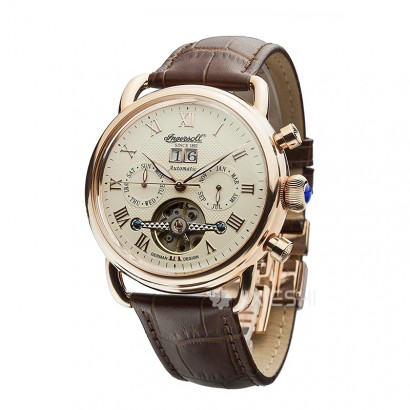 Ingersoll ӢӢԶеʿֱIN8210RG ...
