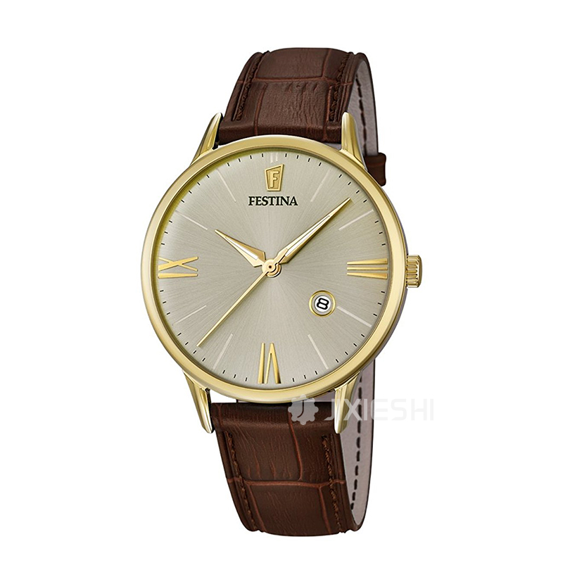 FESTINA ʿʿʯӢбF16825/2 Ȿԭ