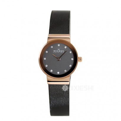 SKAGEN DENMARK ʫʯӢŮʿֱ358XSRM Ȿԭ