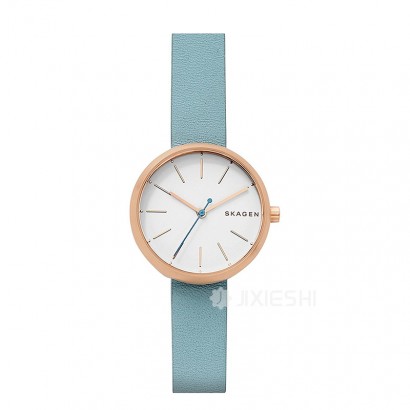 SKAGEN DENMARK ʫʯӢŮʿֱSKW2621 Ȿԭ