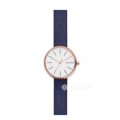 SKAGEN DENMARK ʫʯӢŮʿֱSKW2592 Ȿԭ