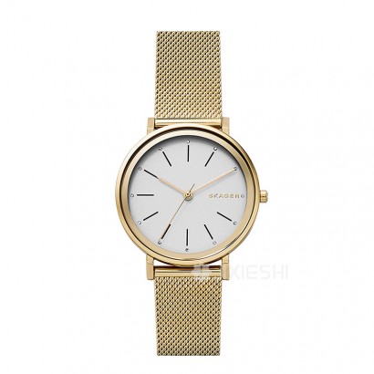 SKAGEN DENMARK ʫʯӢŮʿֱSKW2509 Ȿԭ