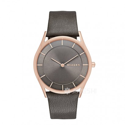 SKAGEN DENMARK ʫʯӢŮʿֱSKW2346 Ȿԭ