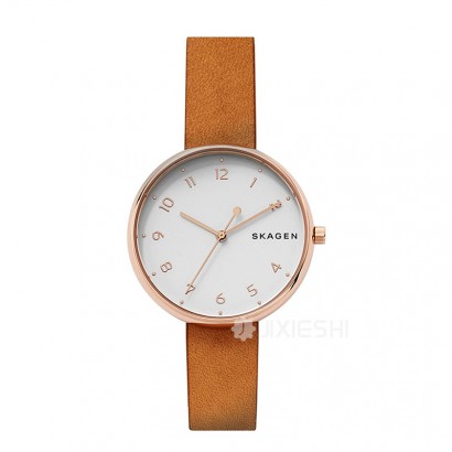SKAGEN DENMARK 丹麦诗格恩石英女士手表SKW2624 海外本土原版
