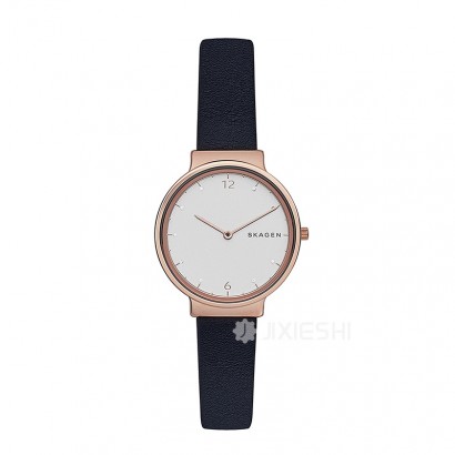 SKAGEN DENMARK ʫʯӢŮʿֱSKW2608 Ȿԭ