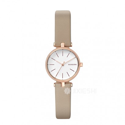 SKAGEN DENMARK ʫʯӢŮʿֱSKW2643 Ȿԭ