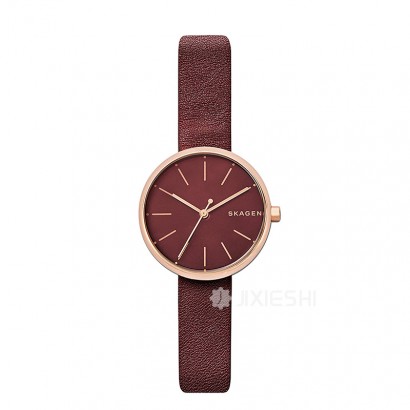 SKAGEN DENMARK ʫʯӢŮʿֱSKW2646 Ȿԭ