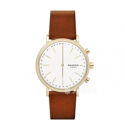 SKAGEN DENMARK 丹麦诗格恩石英女士手表SKT1206 海外本土原版