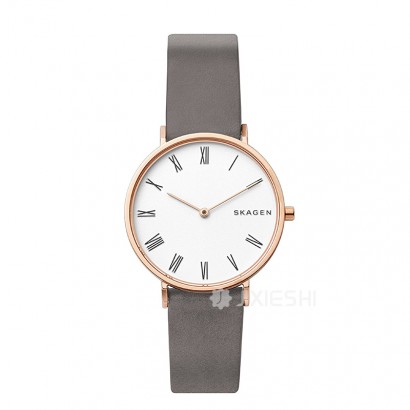 SKAGEN DENMARK ʫʯӢŮʿֱSKW2674 Ȿԭ