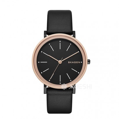 SKAGEN DENMARK ʫʯӢŮʿֱSKW2490 Ȿԭ