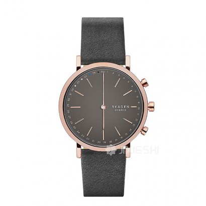 SKAGEN DENMARK ʫʯӢŮʿֱSKT1207 Ȿԭ