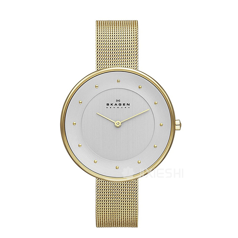 SKAGEN DENMARK ʫʯӢŮʿֱSKW2141 ...