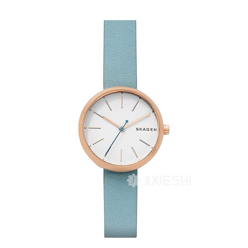 SKAGEN DENMARK ʫʯӢŮʿֱSKW2621 ...