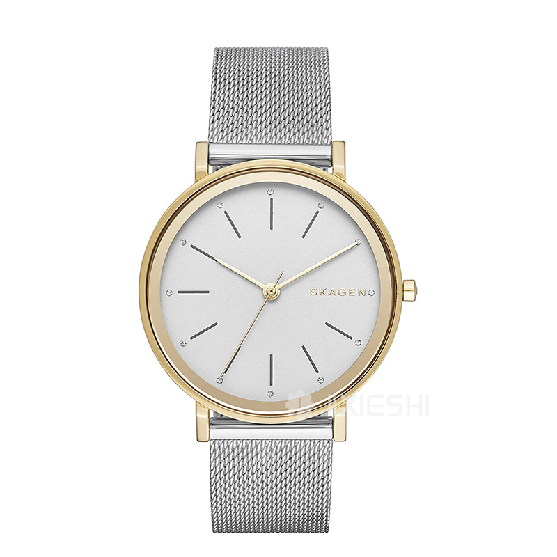 SKAGEN DENMARK ʫʯӢŮʿֱSKW2508 ...