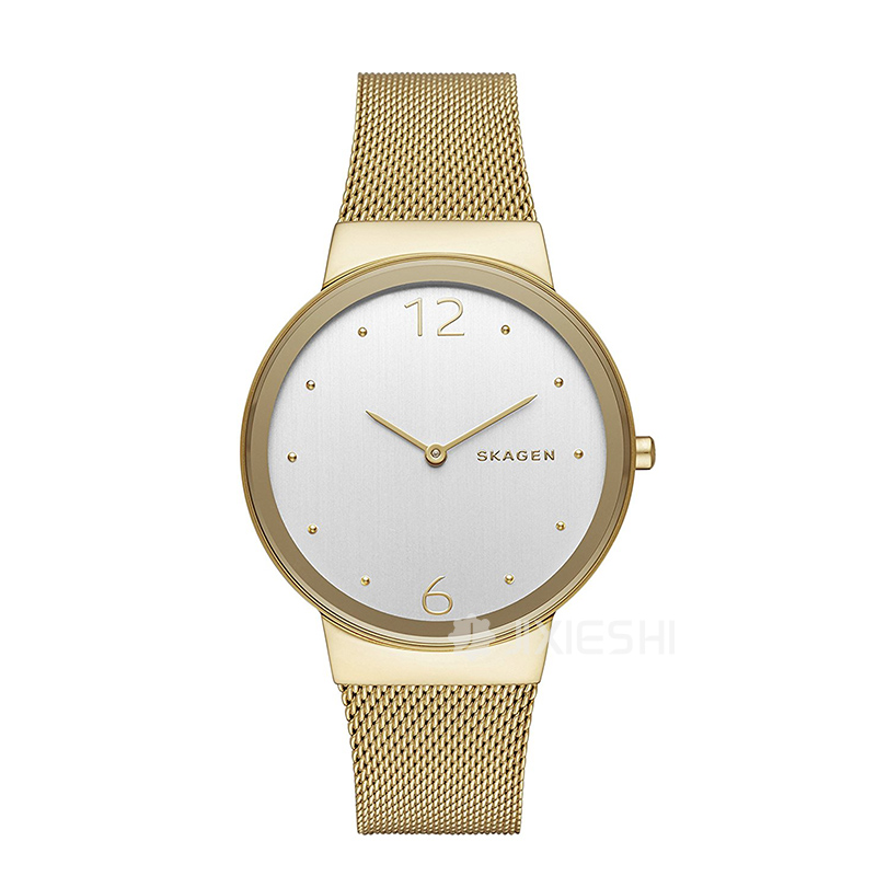 SKAGEN DENMARK ʫʯӢŮʿֱSKW2519 ...