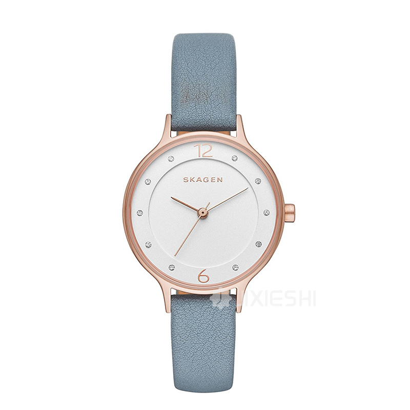 SKAGEN DENMARK ʫʯӢŮʿֱSKW2497 ...