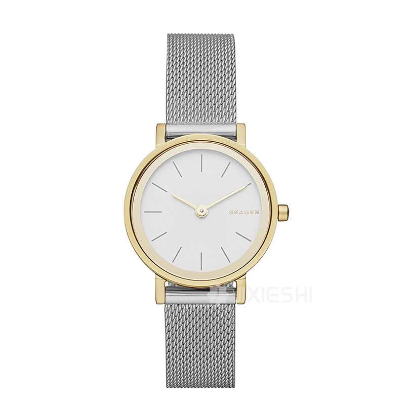 SKAGEN DENMARK ʫʯӢŮʿֱSKW2445 ...