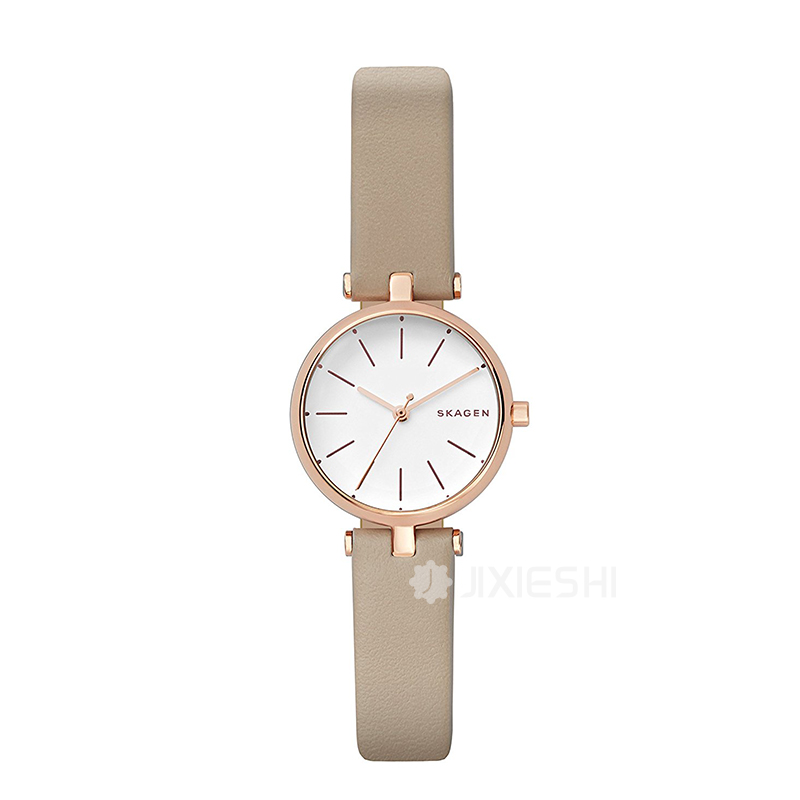 SKAGEN DENMARK ʫʯӢŮʿֱSKW2643 ...