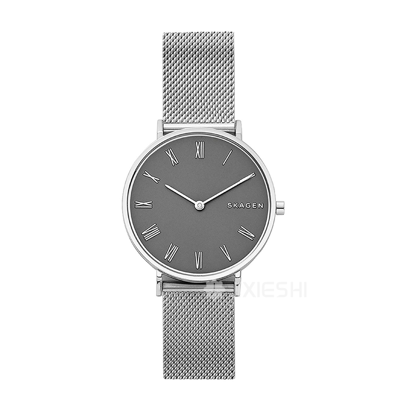 SKAGEN DENMARK ʫʯӢŮʿֱSKW2677 ...