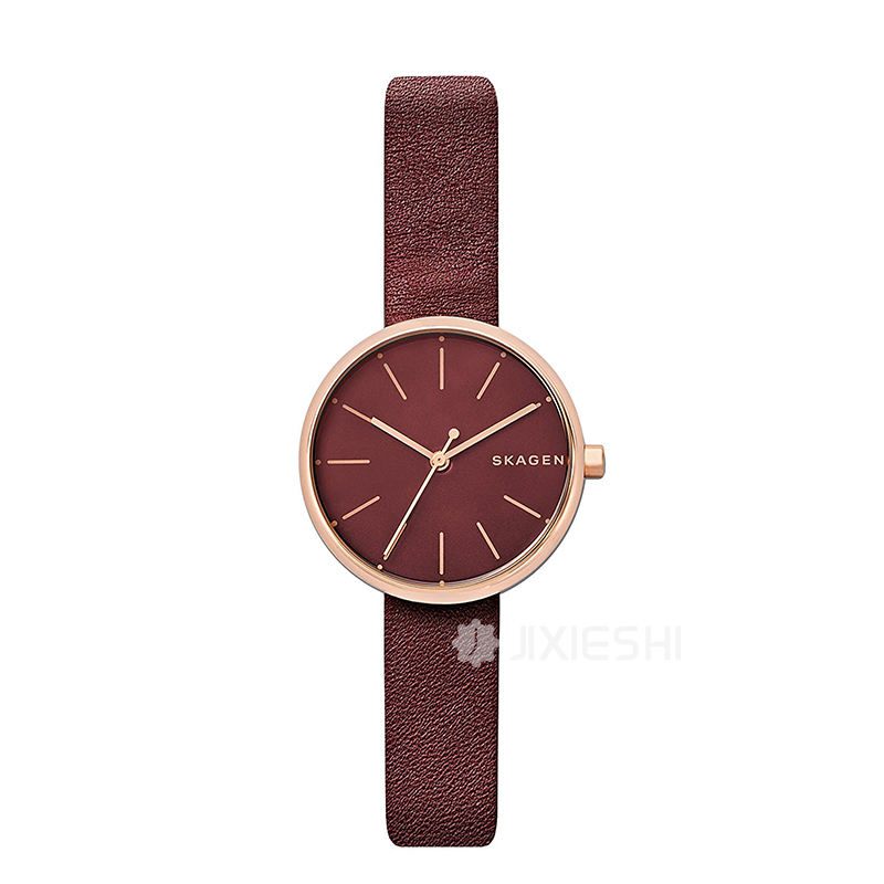 SKAGEN DENMARK ʫʯӢŮʿֱSKW2646 ...