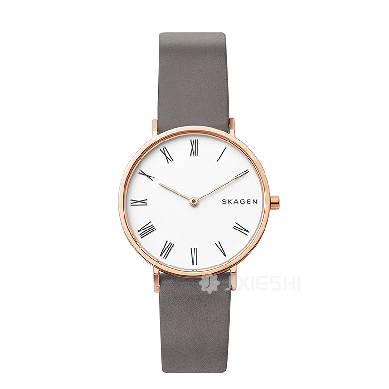 SKAGEN DENMARK ʫʯӢŮʿֱSKW2674 ...