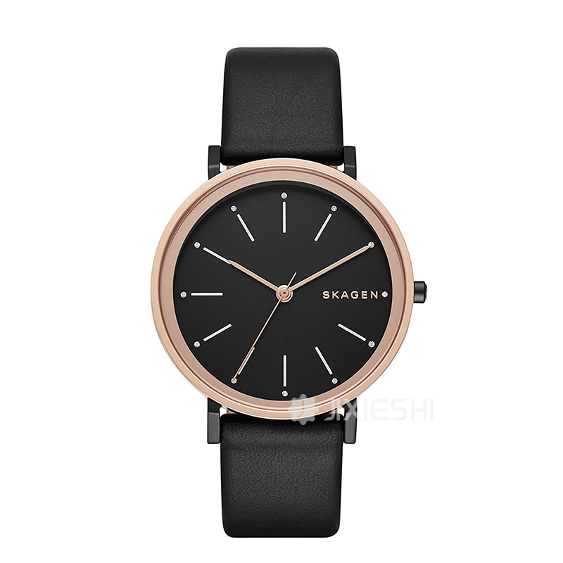 SKAGEN DENMARK ʫʯӢŮʿֱSKW2490 ...