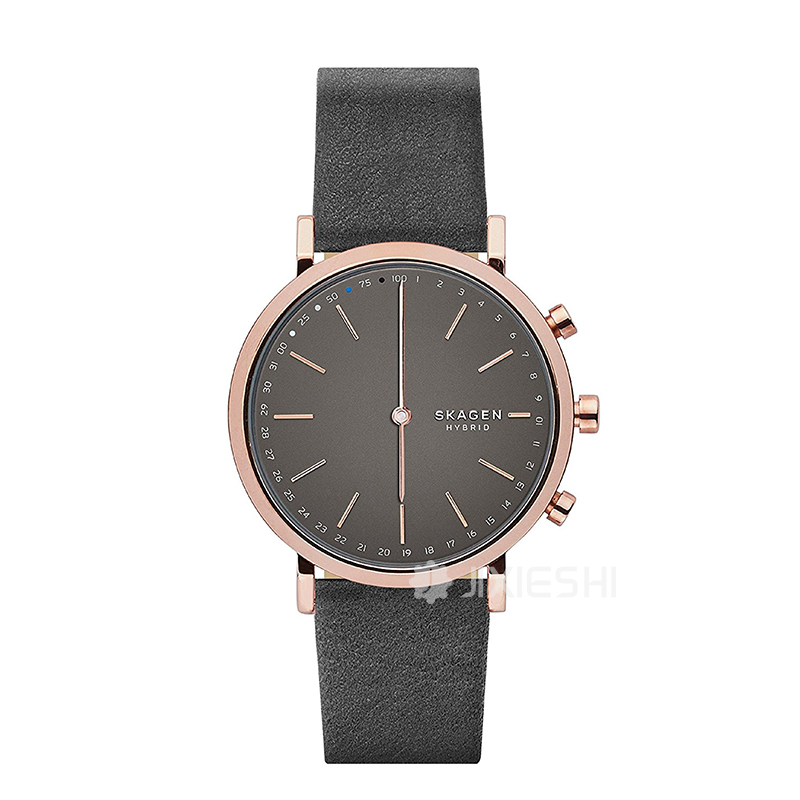 SKAGEN DENMARK ʫʯӢŮʿֱSKT1207 ...