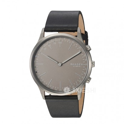 SKAGEN DENMARK ʫʯӢʿֱSKT1203 Ȿԭ