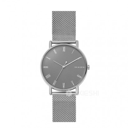 SKAGEN DENMARK ʫʯӢʿֱSKW6428 Ȿԭ