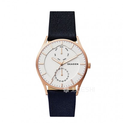 SKAGEN DENMARK ʫʯӢʿֱSKW6372 ...