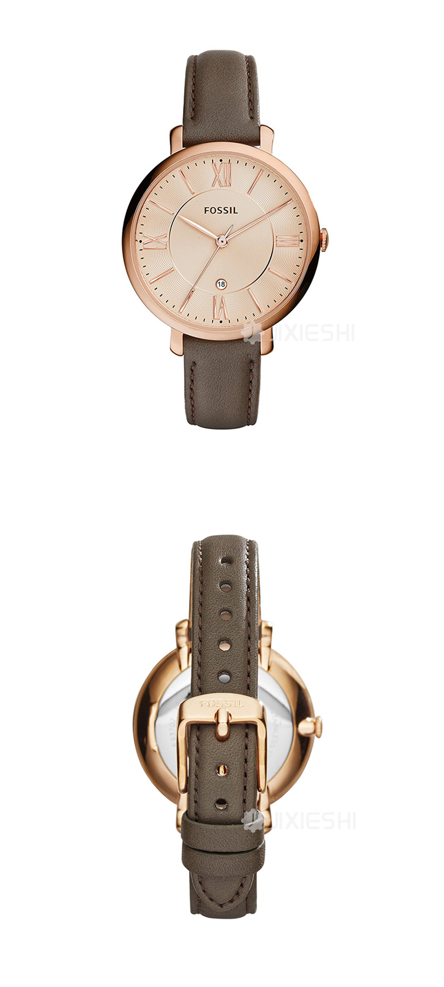 FOSSIL FOSSILŮʿʯӢES3707 Ȿԭ