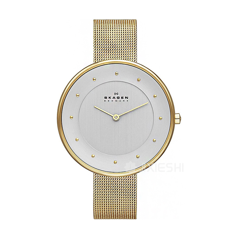 SKAGEN DENMARK ʫŮʿSKW2140/1 Ȿԭ