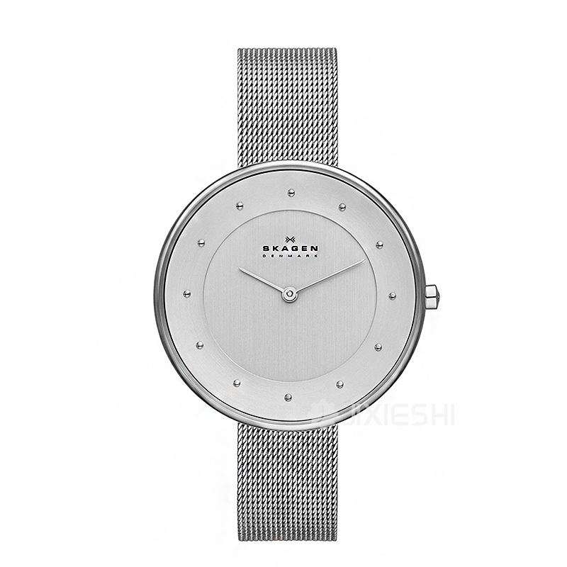 SKAGEN DENMARK ʫŮʿSKW2140/1 Ȿԭ