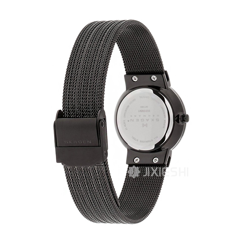 SKAGEN DENMARK ʫŮʿ355SMM1 Ȿԭ