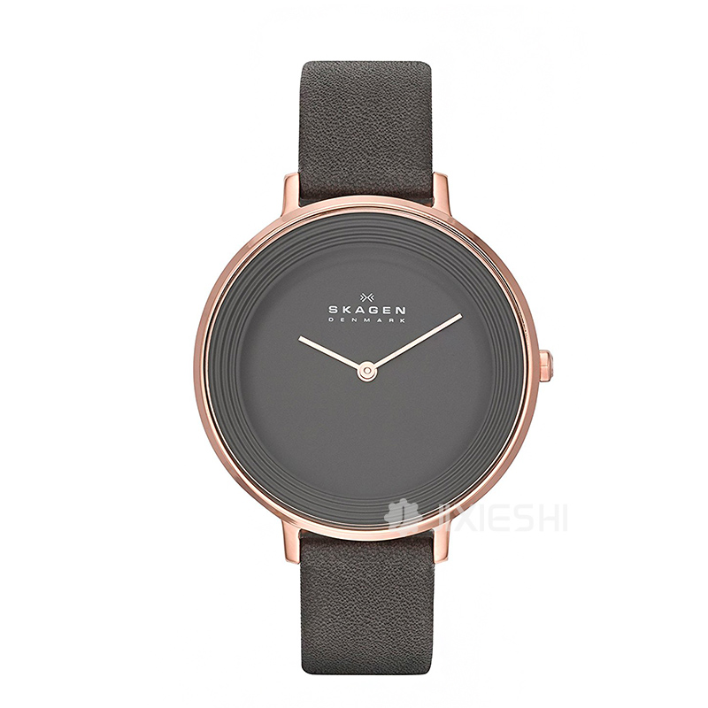 SKAGEN DENMARK ʫŮʿSKW2216 Ȿԭ