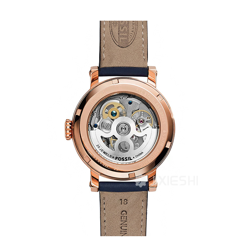 FOSSIL FOSSILŮʿֱME3086 Ȿԭ