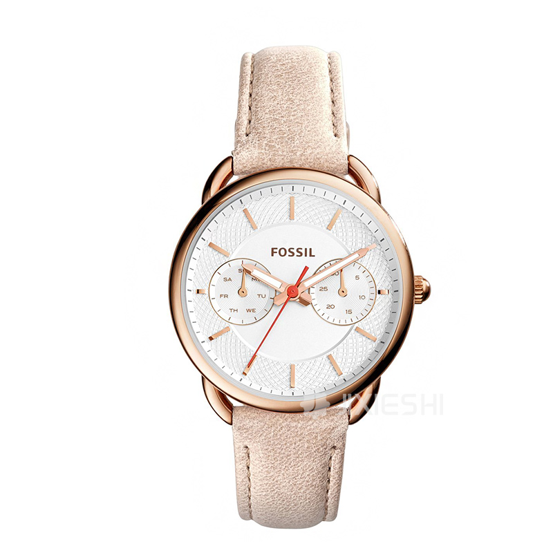 FOSSIL FOSSILŮʿֱES4007 Ȿԭ