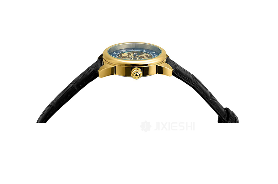 INVICTA Ӣеʿֱ23536 Ȿԭ