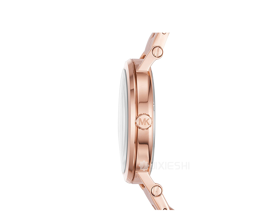 MICHAEL KORS ˸ʯӢŮMK3585 Ȿԭ