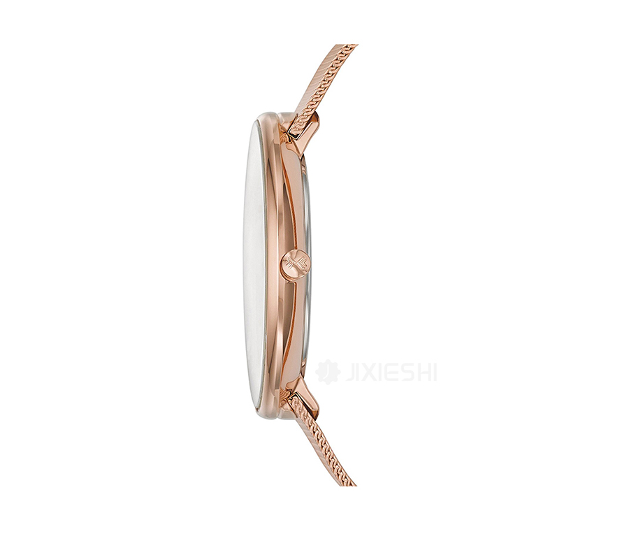 SKAGEN DENMARK ʫʯӢŮʿֱSKW2142 Ȿԭ