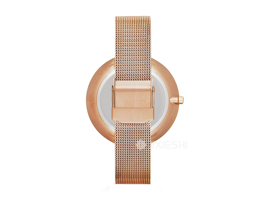 SKAGEN DENMARK ʫʯӢŮʿֱSKW2142 Ȿԭ